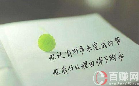 20条网赚经验教训，用钱是买不来的! 第2张