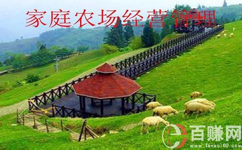 现在经营农场赚钱吗?经营农场的出路在哪? 第2张 现在经营农场赚钱吗?经营农场的出路在哪? 第2张
