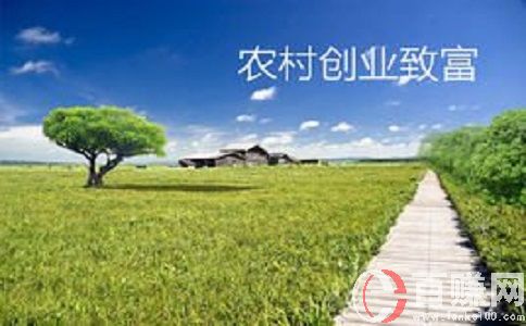 八个适宜在农村创业致富的项目分享!农村加工创业项目! 第2张